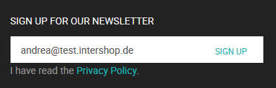 Example: Newsletter Subscription for Unregistered Storefront Visitors